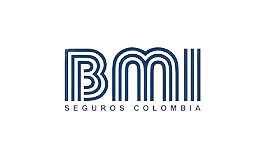 ame_consulting_logo_bmi.png